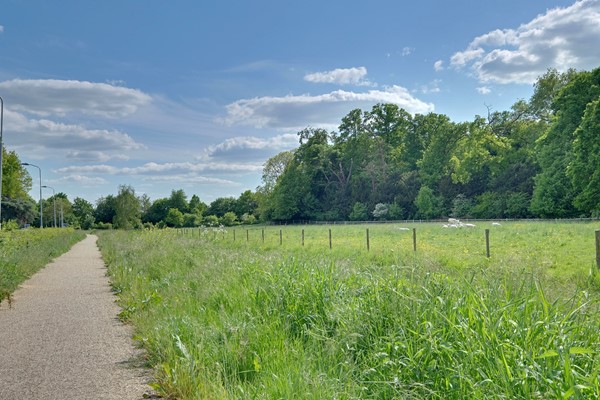 Medium property photo - Babberichseweg 15, 6901 JV Zevenaar